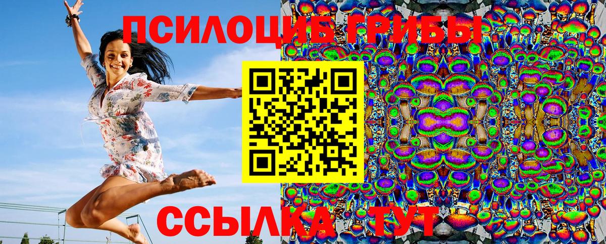 где купить наркоту  Вход с VPN  Старая Русса  Псилоцибиновые грибы Cubensis 