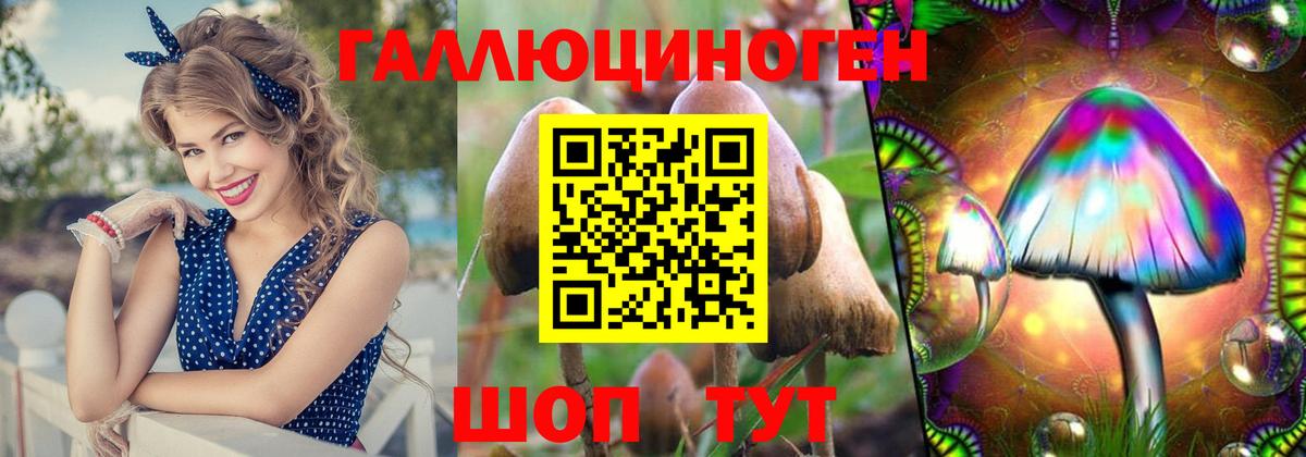Галлюциногенные грибы Psilocybe Старая Русса